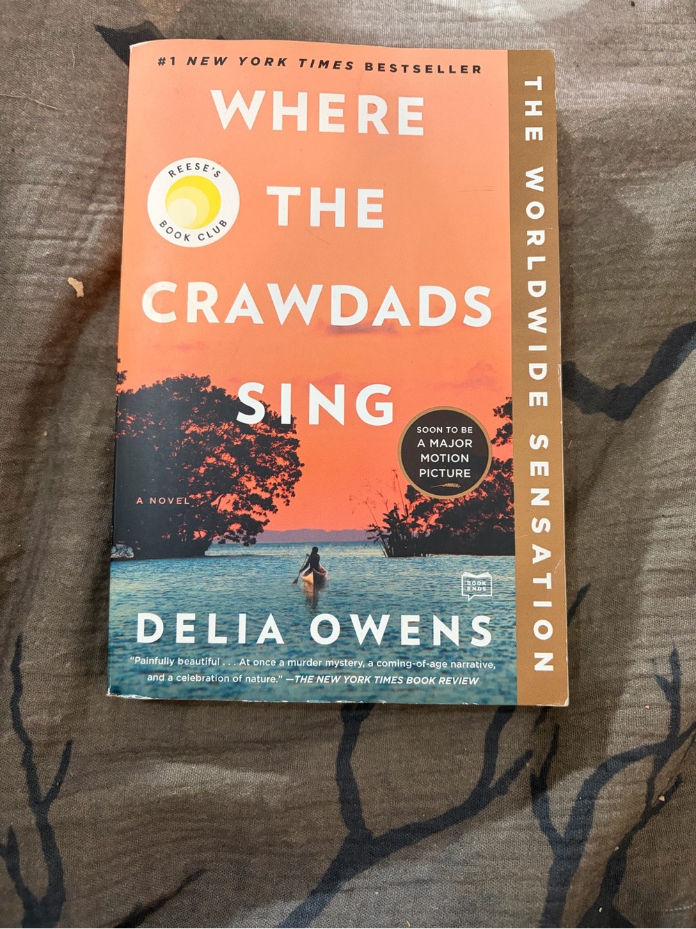 Where the Crawdads Sing - Orange/Blue Cover
